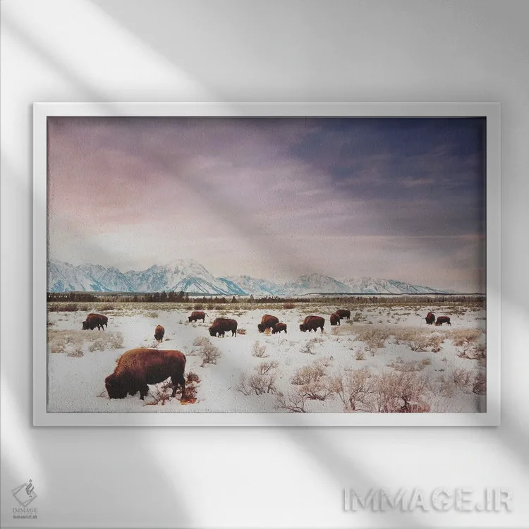 تابلو گلههای تتون اثر آنی بیلی آرت (هنرمند) - نمای قابدار سفید