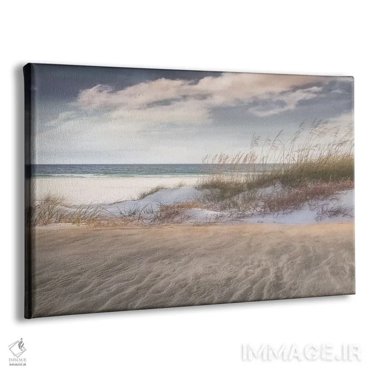 تابلو در میان علفهای دریایی اثر مایک کالاسیبتا - نمای پرسپکتیو محصول
