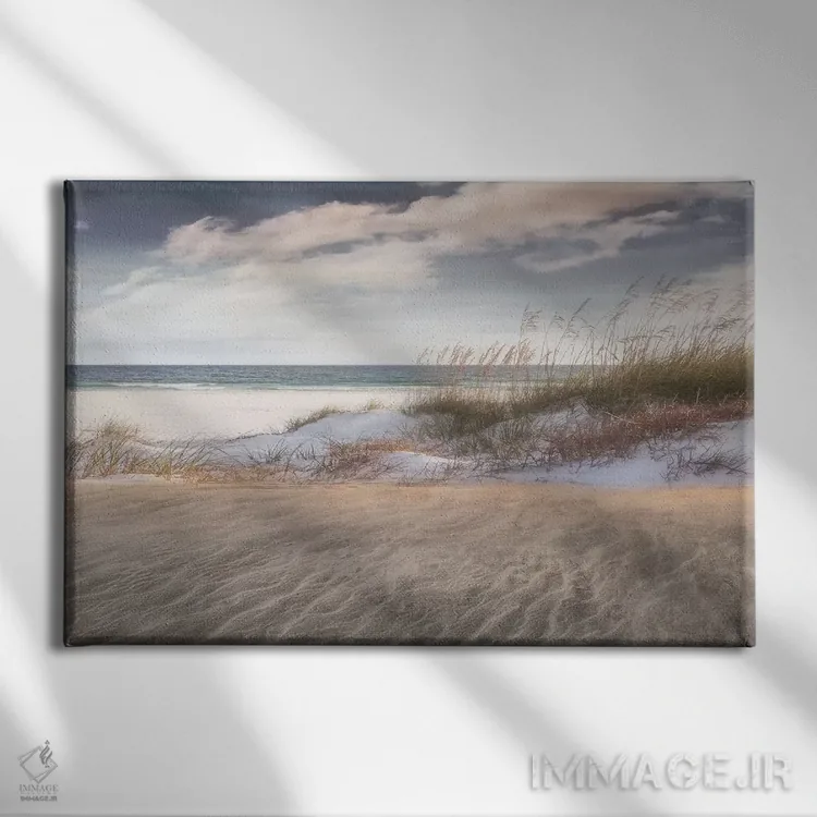 تابلو در میان علفهای دریایی اثر مایک کالاسیبتا - نمای روبهرو روی دیوار