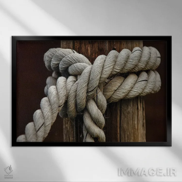 تابلو گره طناب III اثر مایک کالاسیبتا - نمای قابدار مشکی