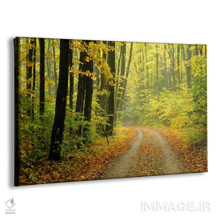 تابلو منظرهٔ جنگل پاییزی، میشیگان، آمریکا اثر مارک کارلسون - نمای پرسپکتیو محصول