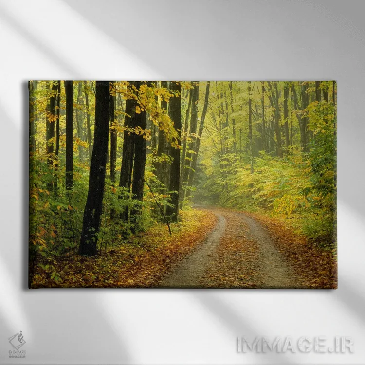 تابلو منظرهٔ جنگل پاییزی، میشیگان، آمریکا اثر مارک کارلسون - نمای روبهرو روی دیوار