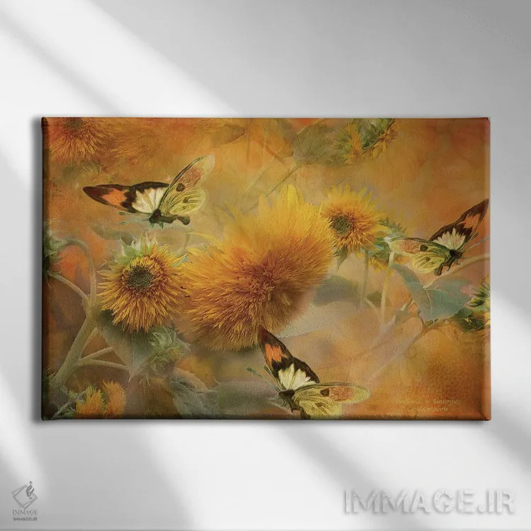 تابلو آفتابگردانها و پروانهها اثر کارول کاوالاریس - نمای روبهرو روی دیوار