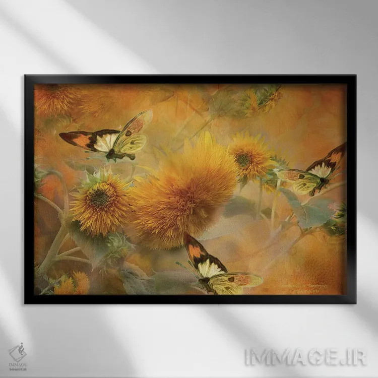 تابلو آفتابگردانها و پروانهها اثر کارول کاوالاریس - نمای قابدار مشکی