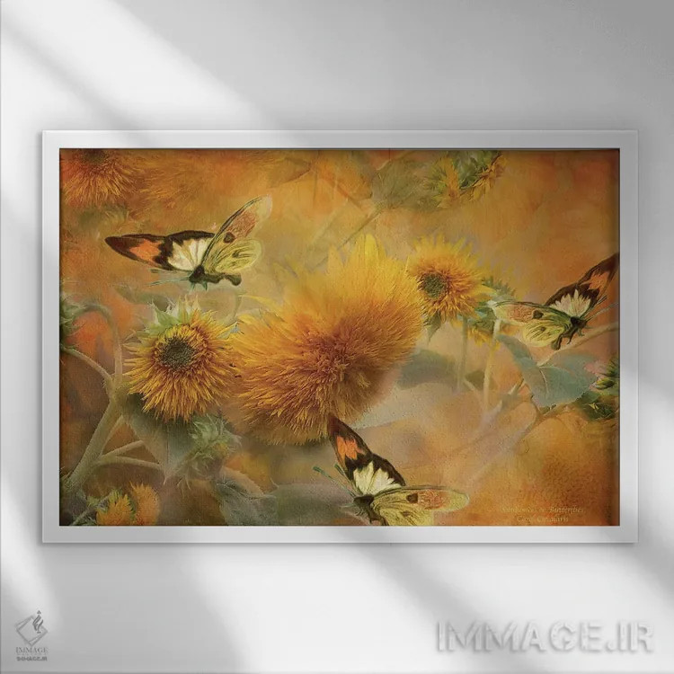 تابلو آفتابگردانها و پروانهها اثر کارول کاوالاریس - نمای قابدار سفید