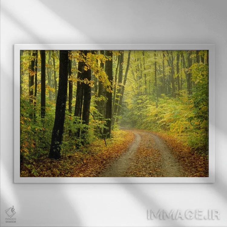 تابلو منظرهٔ جنگل پاییزی، میشیگان، آمریکا اثر مارک کارلسون - نمای قابدار سفید