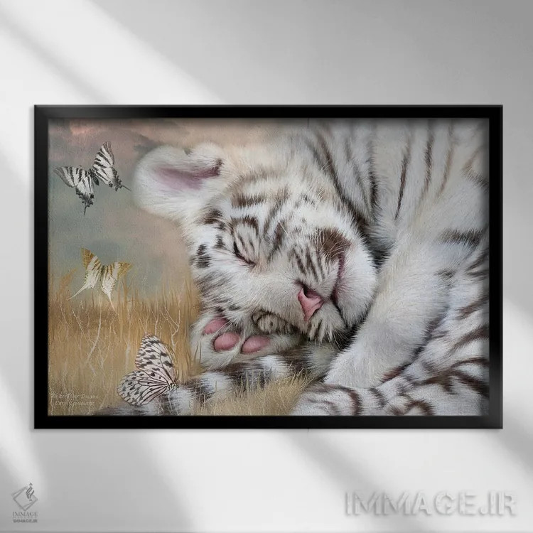 تابلو رویاهای ببر سفید اثر کارول کاوالاریس - نمای قابدار مشکی