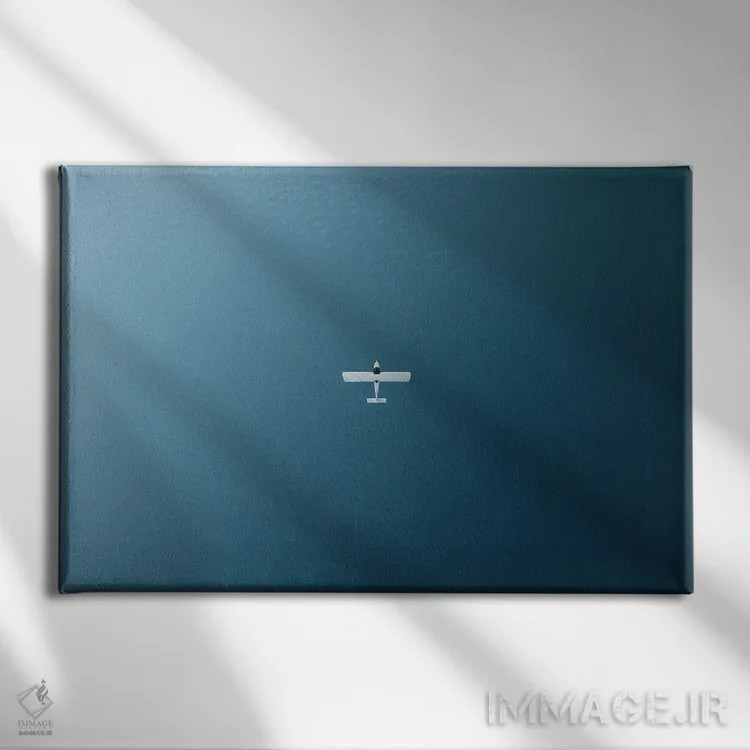 تابلو سفر با هواپیما اثر آندریا کاروزو - نمای روبهرو روی دیوار