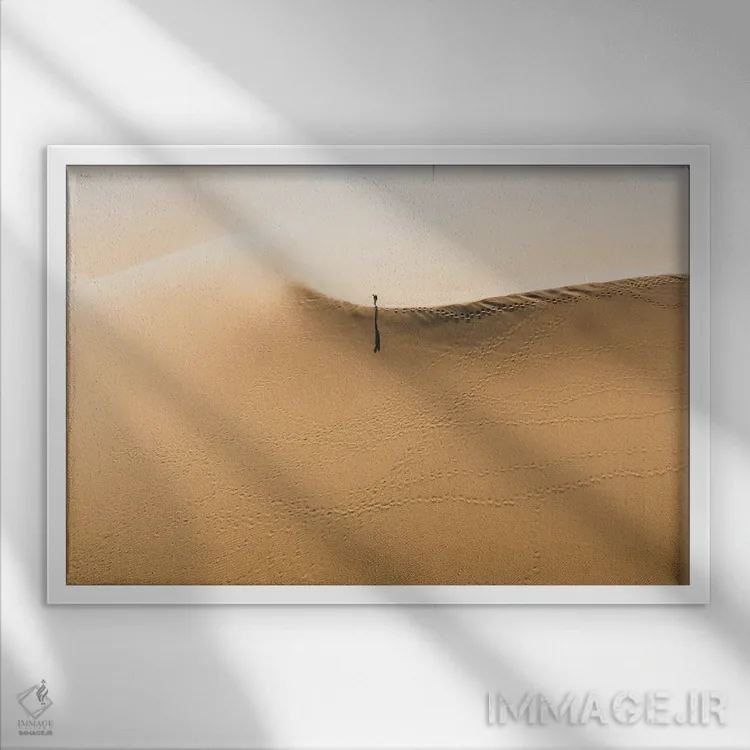 تابلو کاوشگر شن اثر آندریا کاروزو - نمای قابدار سفید