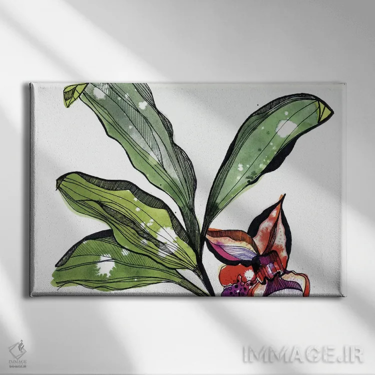 تابلو ارکیده زنبوری اثر کایِنا بلانکا - نمای روبهرو روی دیوار