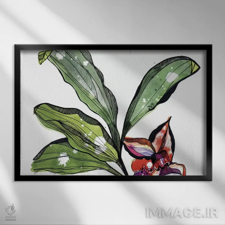 تابلو ارکیده زنبوری اثر کایِنا بلانکا - نمای قابدار مشکی