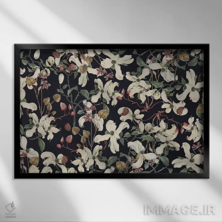 تابلو گیاهی اثر کایِنا بلانکا - نمای قابدار مشکی