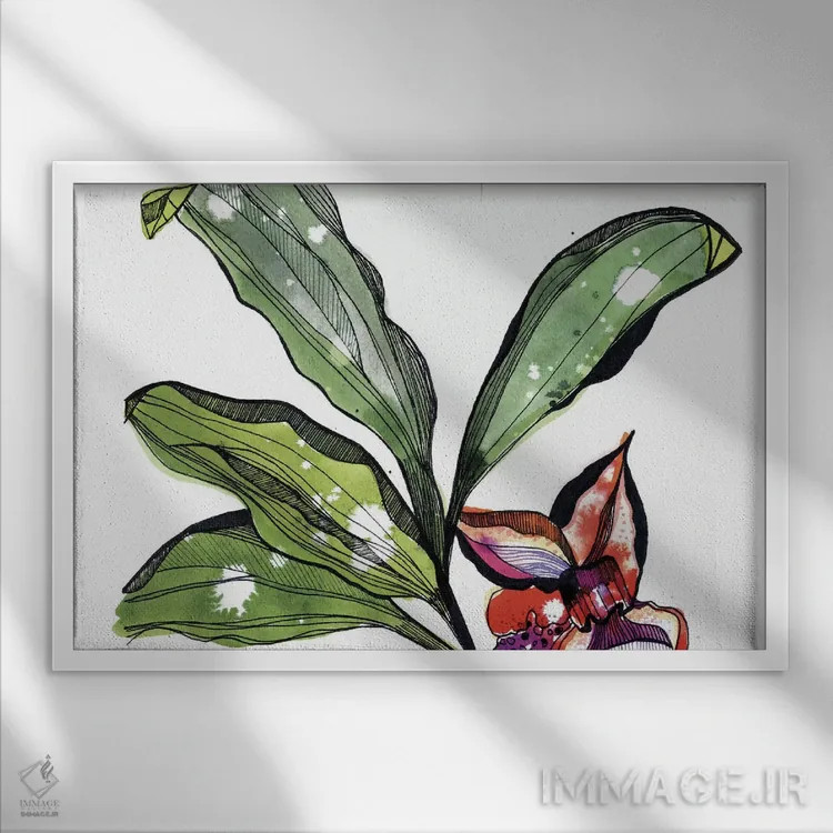 تابلو ارکیده زنبوری اثر کایِنا بلانکا - نمای قابدار سفید