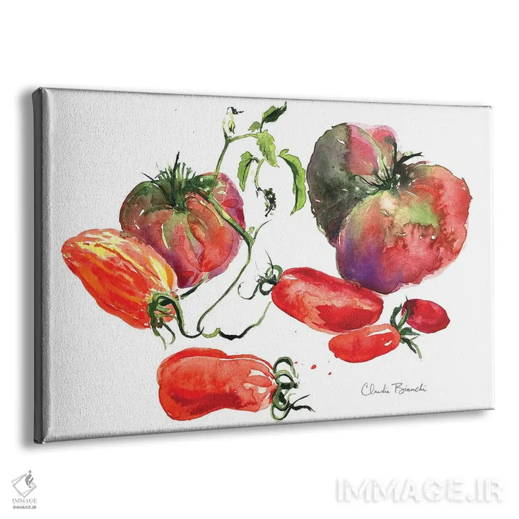 تابلو طبیعت بیجان گوجهفرنگی اثر کلودیا بیانکی - نمای پرسپکتیو محصول
