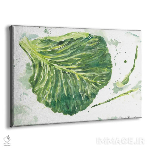 تابلو باغ کلم اثر کلودیا بیانکی - نمای پرسپکتیو محصول