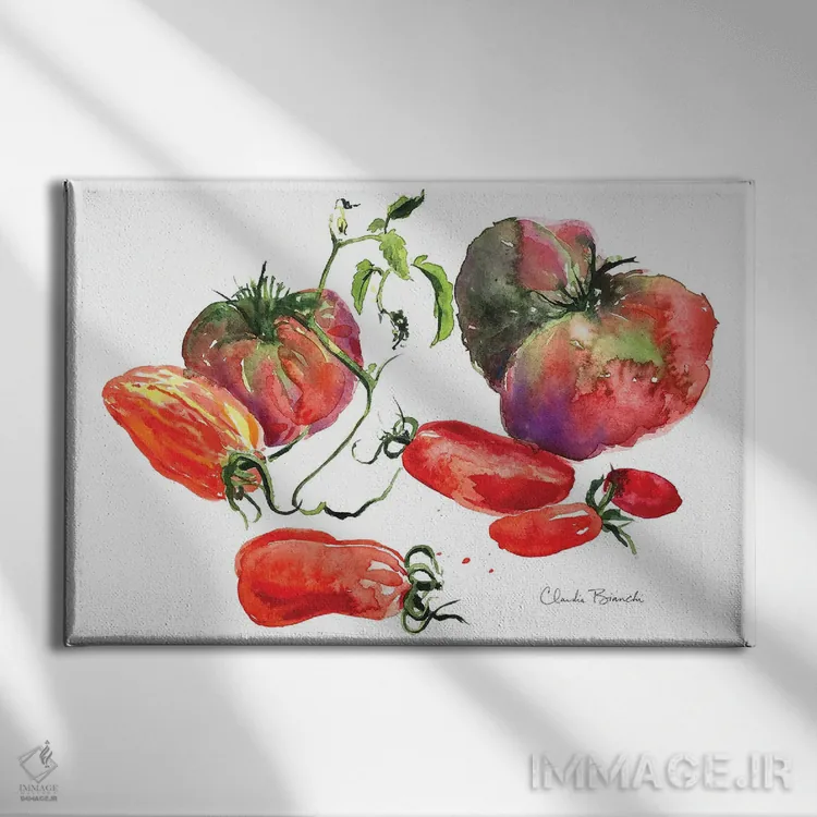 تابلو طبیعت بیجان گوجهفرنگی اثر کلودیا بیانکی - نمای روبهرو روی دیوار