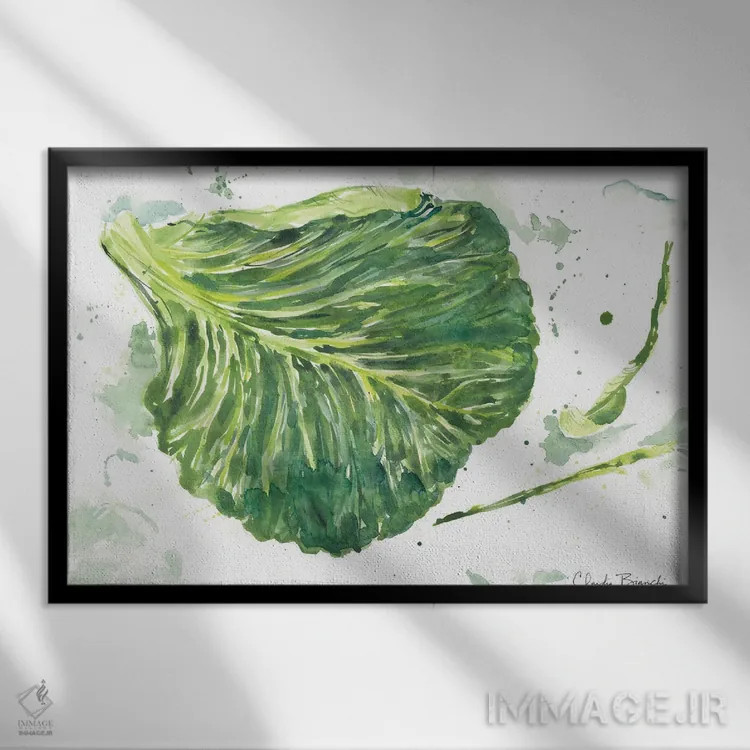 تابلو باغ کلم اثر کلودیا بیانکی - نمای قابدار مشکی