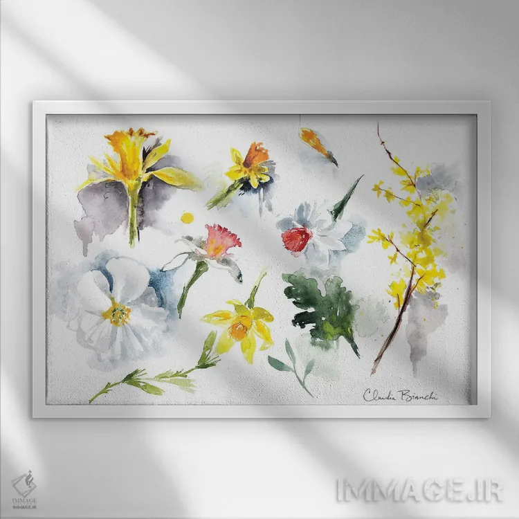 تابلو نرگسها اثر کلودیا بیانکی - نمای قابدار سفید