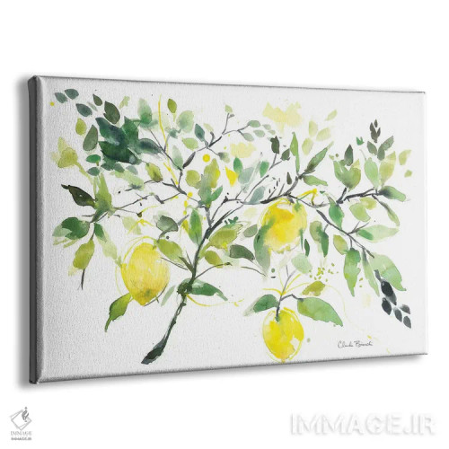 تابلو شاخهٔ لیمو اثر کلودیا بیانکی - نمای پرسپکتیو محصول
