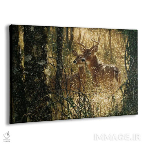 تابلو لحظهای طلایی اثر کالین بوگل - نمای پرسپکتیو محصول