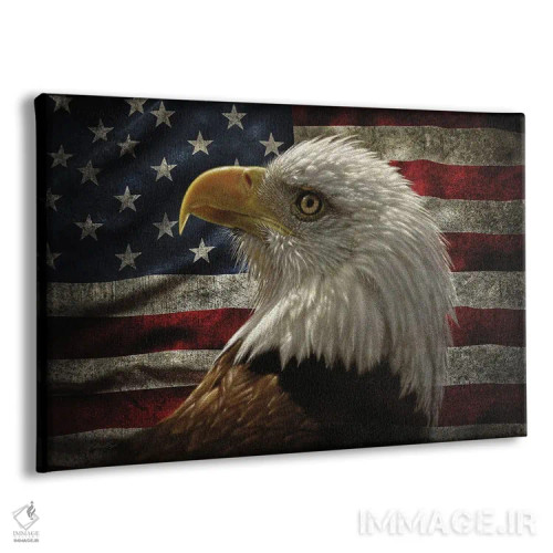 تابلو عقاب با پرچم آمریکای آسیبدیده اثر کالین بوگل - نمای پرسپکتیو محصول