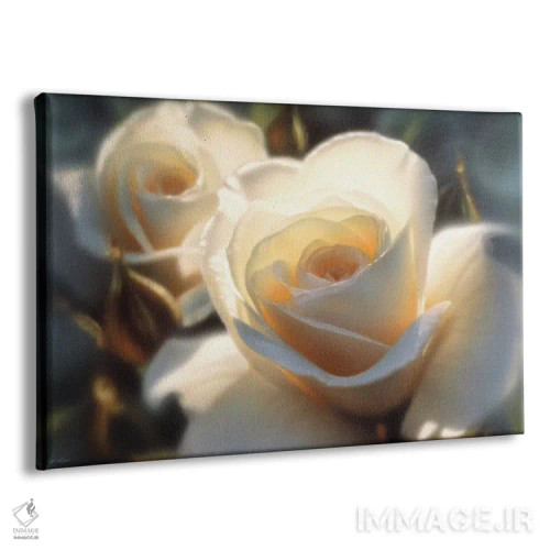 تابلو رنگهای رز سفید (افقی) اثر کالین بوگل - نمای پرسپکتیو محصول