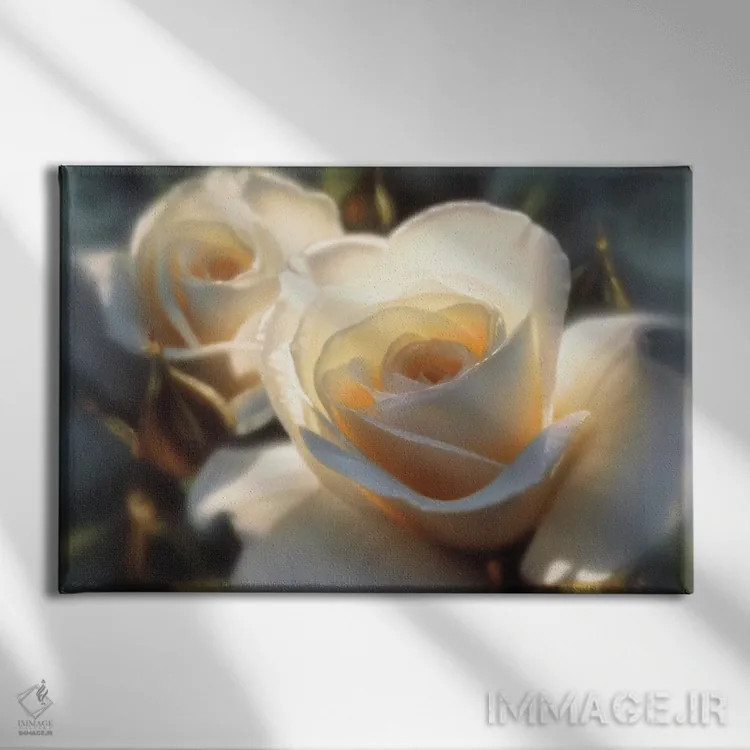 تابلو رنگهای رز سفید (افقی) اثر کالین بوگل - نمای روبهرو روی دیوار