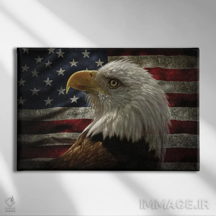 تابلو عقاب با پرچم آمریکای آسیبدیده اثر کالین بوگل - نمای روبهرو روی دیوار