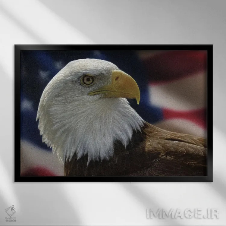 تابلو عقاب سرسفید آمریکایی اثر کالین بوگل - نمای قابدار مشکی