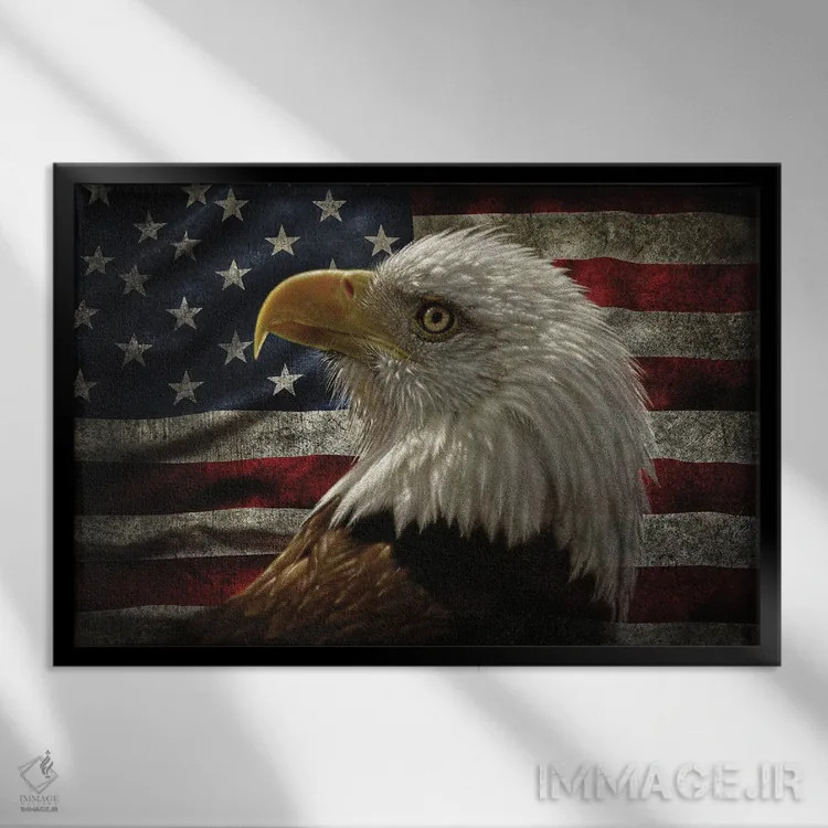 تابلو عقاب با پرچم آمریکای آسیبدیده اثر کالین بوگل - نمای قابدار مشکی