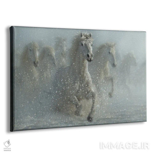 تابلو دویدن در طبیعت وحشی اثر کالین بوگل - نمای پرسپکتیو محصول