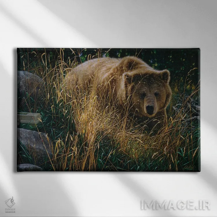 تابلو خرس قهوهای در حال عبور از مسیر اثر کالین بوگل - نمای روبهرو روی دیوار