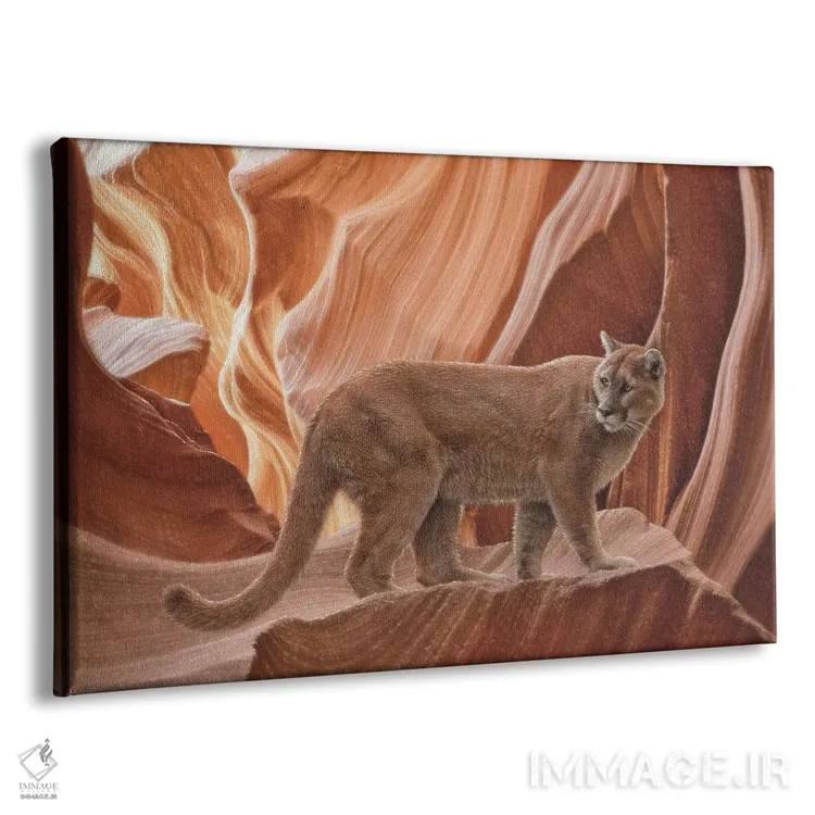 تابلو درهٔ پوما اثر کالین بوگل - نمای پرسپکتیو محصول