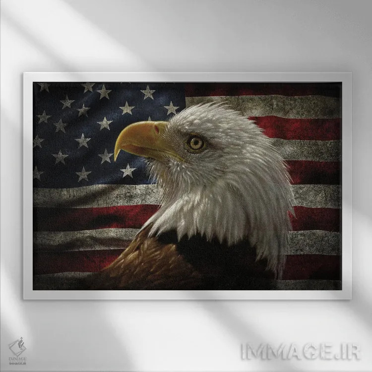 تابلو عقاب با پرچم آمریکای آسیبدیده اثر کالین بوگل - نمای قابدار سفید