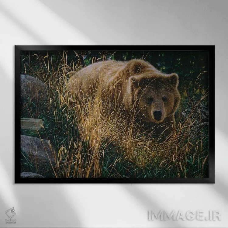 تابلو خرس قهوهای در حال عبور از مسیر اثر کالین بوگل - نمای قابدار مشکی