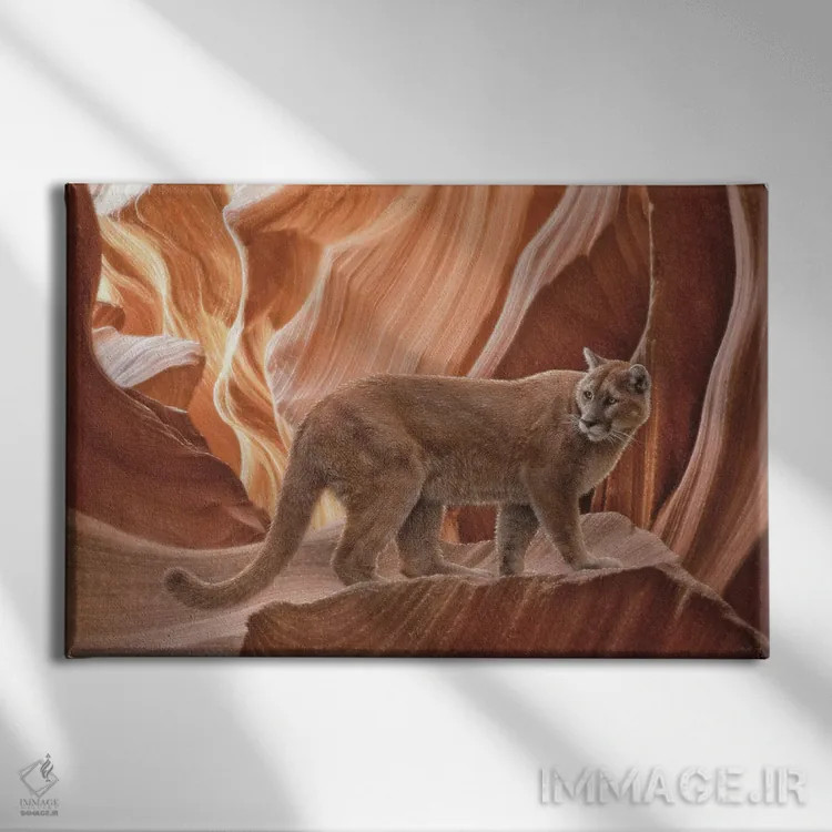 تابلو درهٔ پوما اثر کالین بوگل - نمای روبهرو روی دیوار