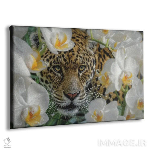 تابلو جگوار در بهشت ارکیدهها اثر کالین بوگل - نمای پرسپکتیو محصول