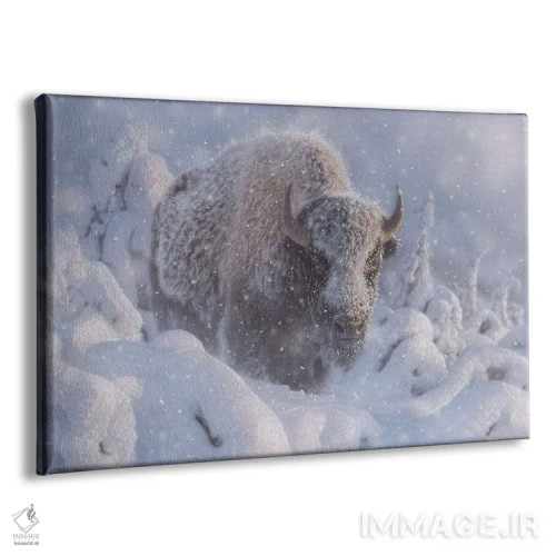 تابلو در عمق اثر کالین بوگل - نمای پرسپکتیو محصول