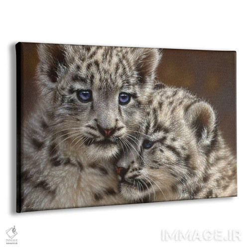 تابلو بچهپلنگهای برفی همبازی (افقی) اثر کالین بوگل - نمای پرسپکتیو محصول