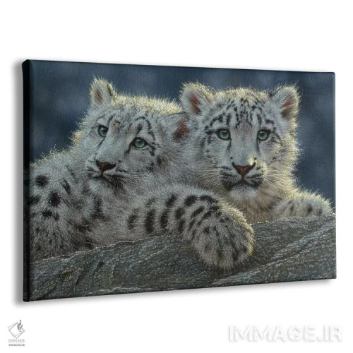 تابلو بچهپلنگهای برفی (افقی) اثر کالین بوگل - نمای پرسپکتیو محصول
