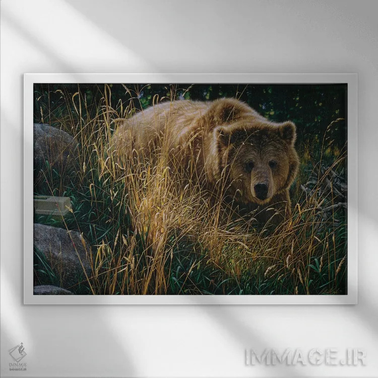 تابلو خرس قهوهای در حال عبور از مسیر اثر کالین بوگل - نمای قابدار سفید