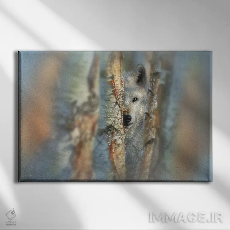 تابلو متمرکز اثر کالین بوگل - نمای روبهرو روی دیوار