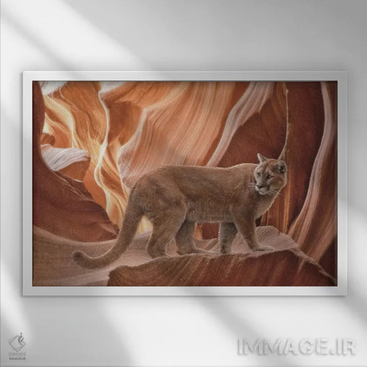 تابلو درهٔ پوما اثر کالین بوگل - نمای قابدار سفید