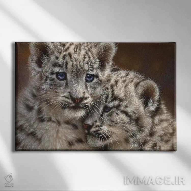 تابلو بچهپلنگهای برفی همبازی (افقی) اثر کالین بوگل - نمای روبهرو روی دیوار