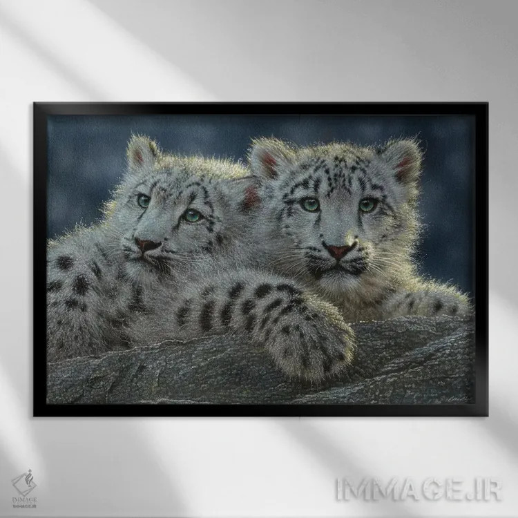 تابلو بچهپلنگهای برفی (افقی) اثر کالین بوگل - نمای قابدار مشکی