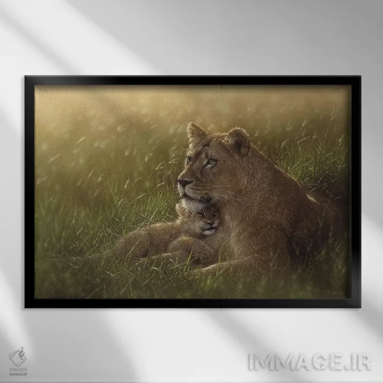 تابلو پناهگاه امن اثر کالین بوگل - نمای قابدار مشکی