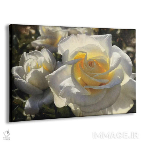 تابلو رزهای سفید (افقی) اثر کالین بوگل - نمای پرسپکتیو محصول