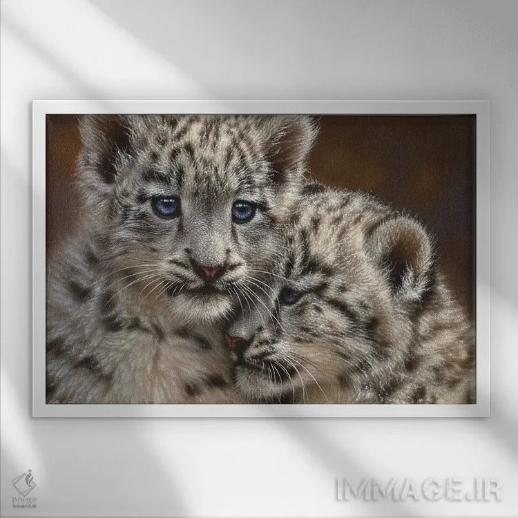 تابلو بچهپلنگهای برفی همبازی (افقی) اثر کالین بوگل - نمای قابدار سفید