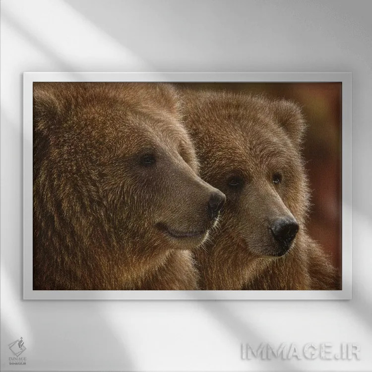 تابلو روزهای تنبلی اثر کالین بوگل - نمای قابدار سفید