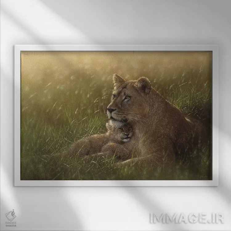 تابلو پناهگاه امن اثر کالین بوگل - نمای قابدار سفید